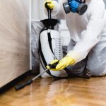 Comprehensive Pest Control Services in Castle Hill NSW