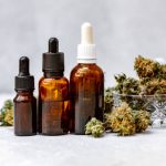 CBD Buds What Makes Them So Popular?