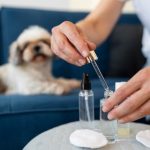 CBD for Dogs in Canada: An Overview of the Top Products Available