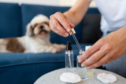 CBD for Dogs in Canada: An Overview of the Top Products Available