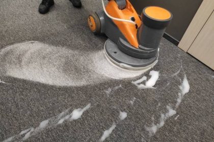How Often Should You Get Your Carpets Professionally Cleaned?