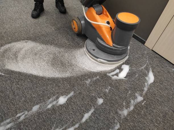 How Often Should You Get Your Carpets Professionally Cleaned?